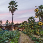 Flora Farms