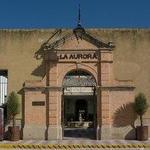 Fabrica La Aurora