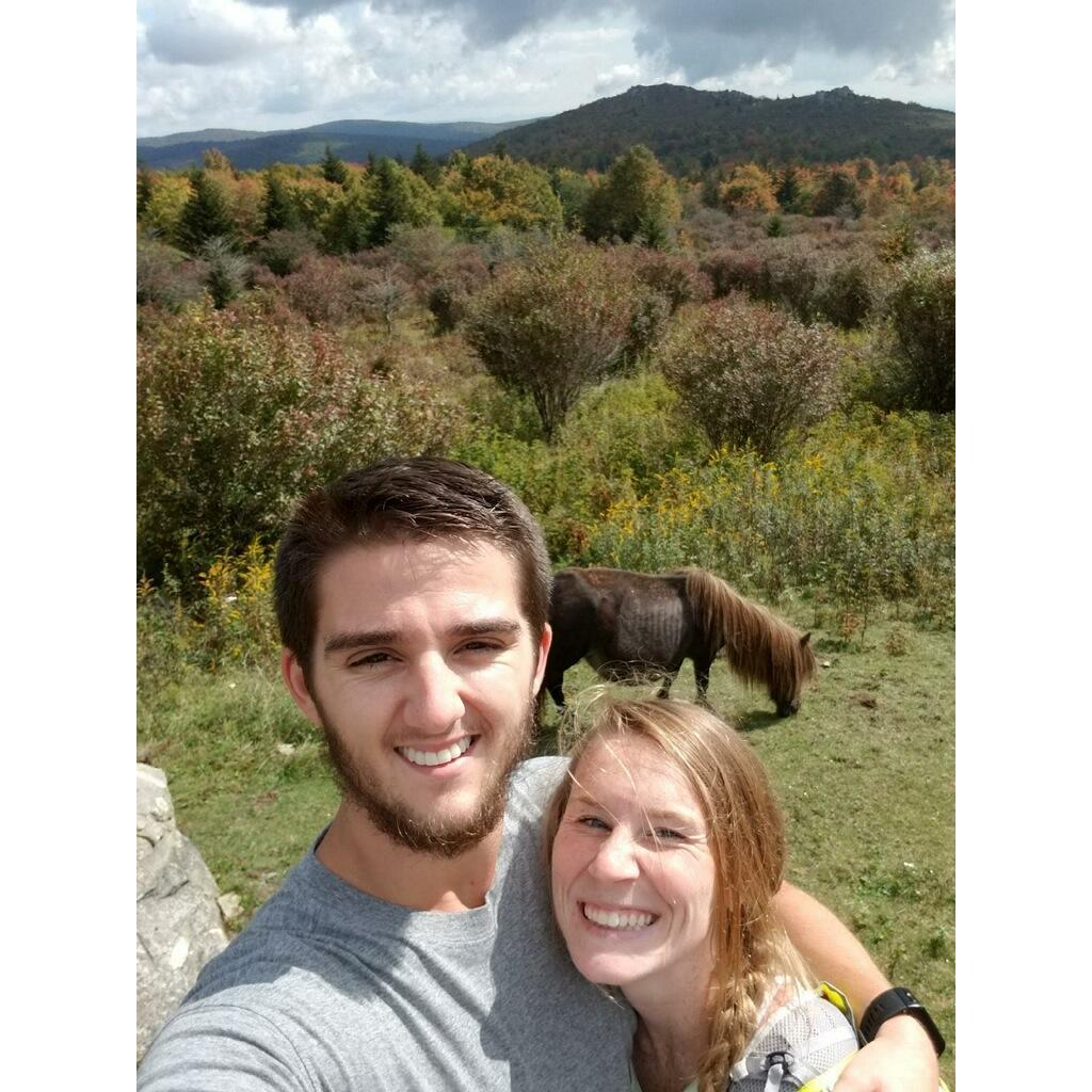 Hiking at Grayson Highlands with the ponies!