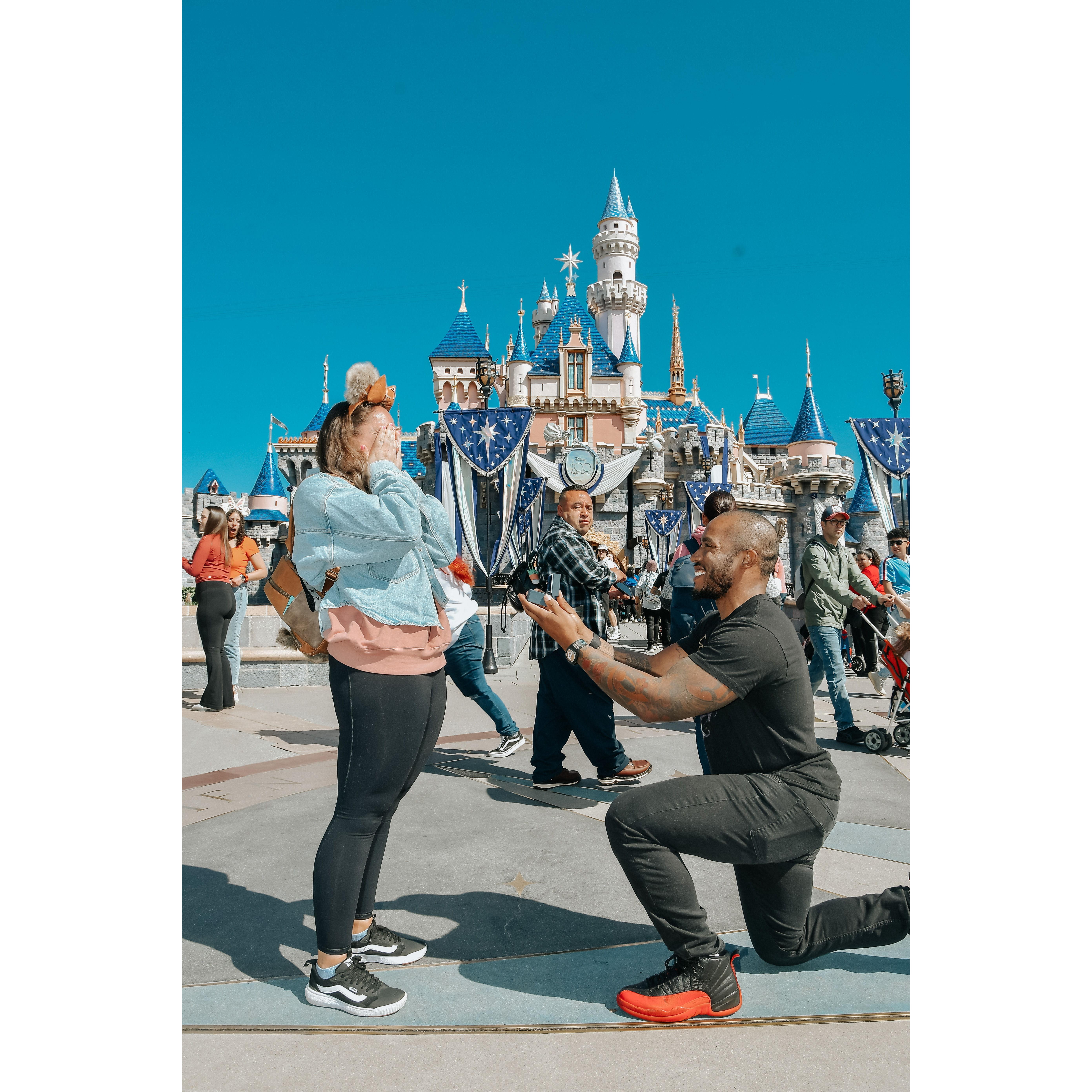 Our amazing proposal at Disneyland!