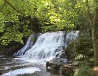 Wadsworth Falls