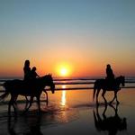 Cponies Beach Horseback Rides