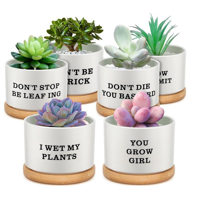 Potchen 6 Pcs Teacher Appreciation Gifts Bulk Succulent Pots Thank You Planter with Bamboo Tray Funny Ceramic Succulent Gifts for Teacher, Women, Coworker(Funny Style)