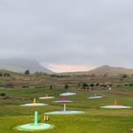 Swing Time (Toptracer) at Dairy Creek