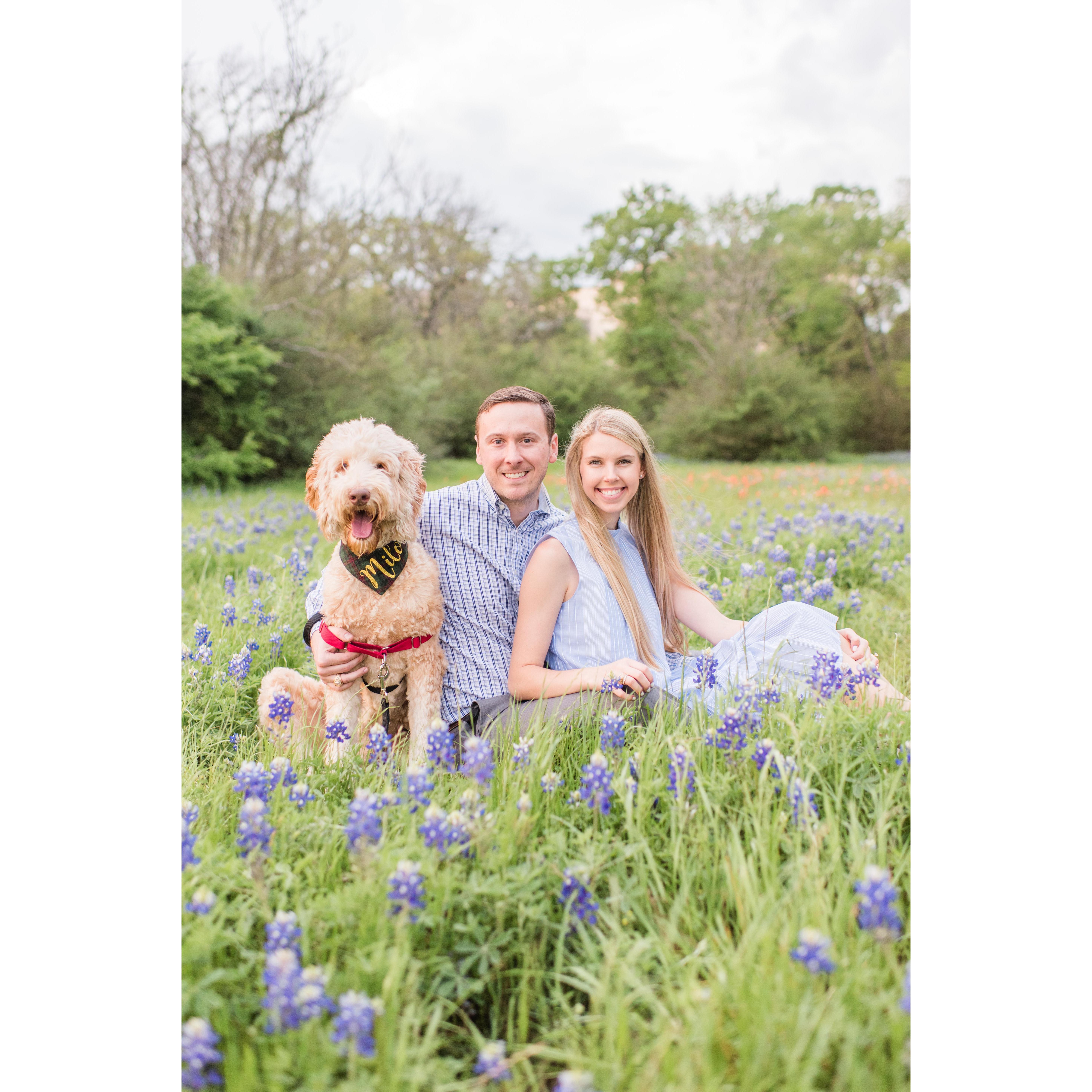 Bluebonnet photos March 2020