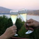 Canandaigua Lake Wine Trail