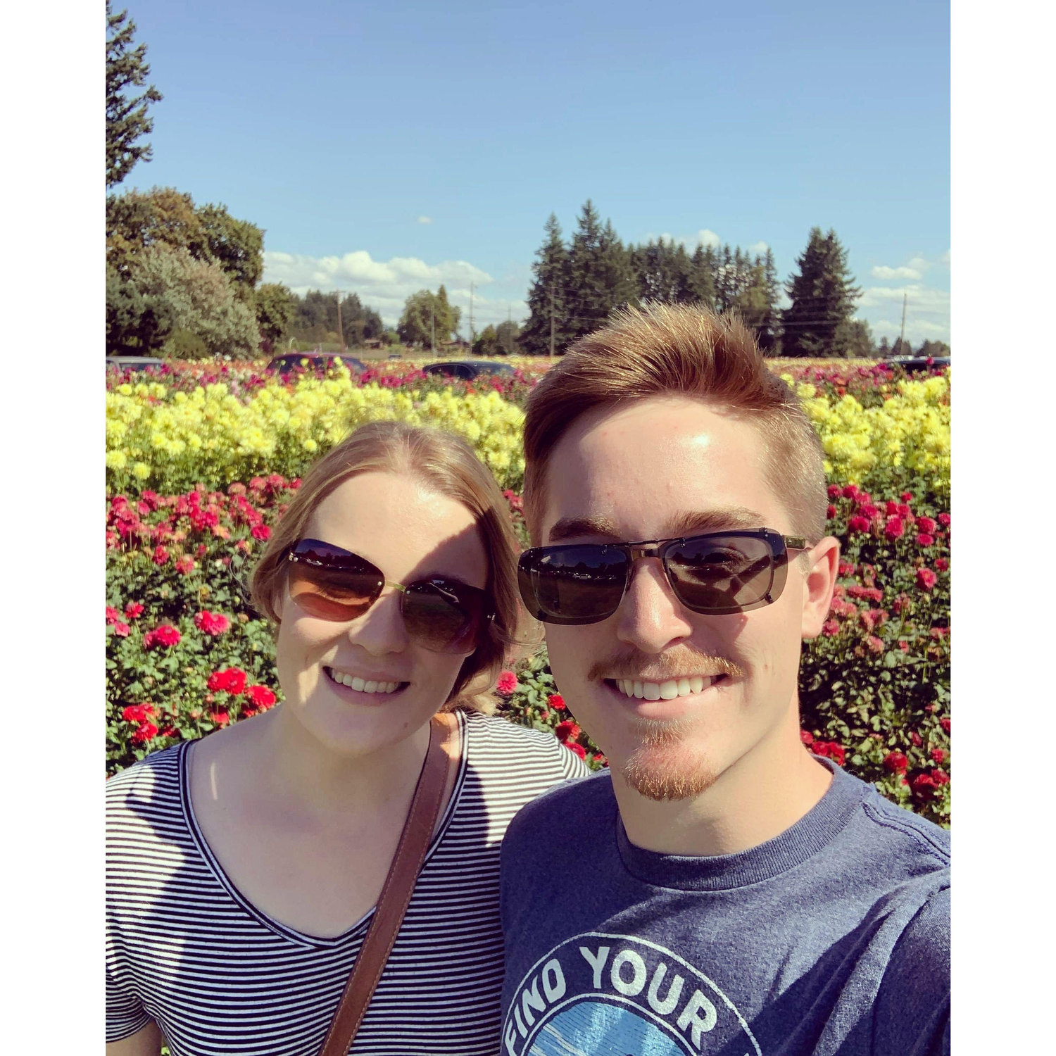 2019 - Oregon dahlia festival