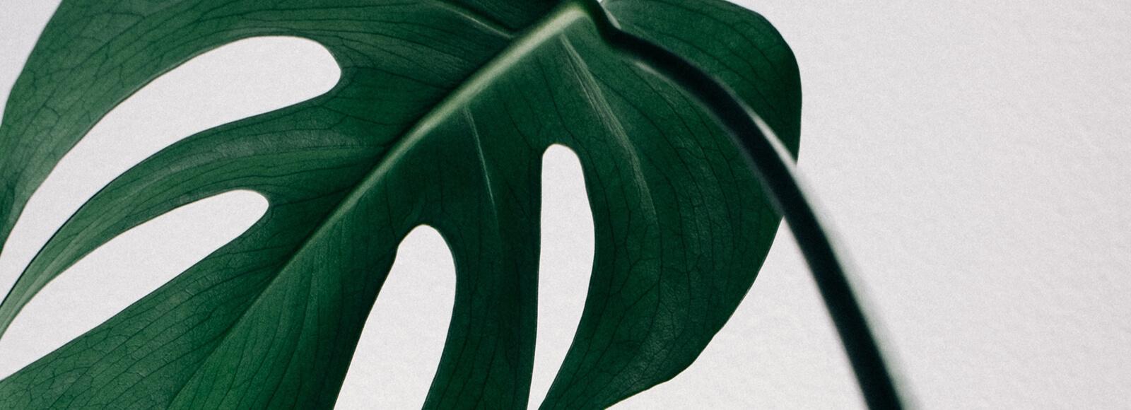 2ca04927-ff47-4e1a-9202-2f7ef43b6661