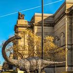 Carnegie Museum of Art & Natural History