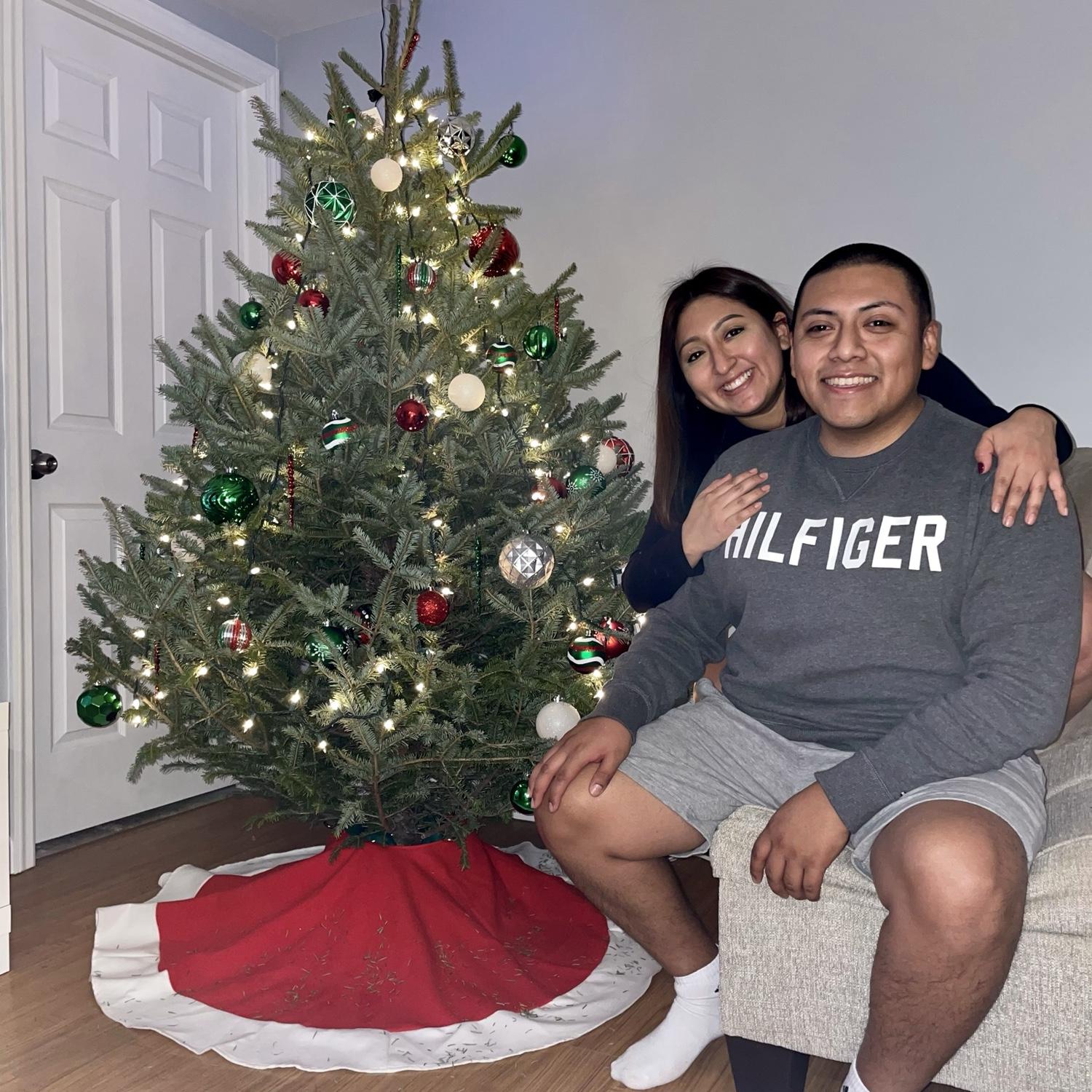 First Christmas in Our Apartment 2020