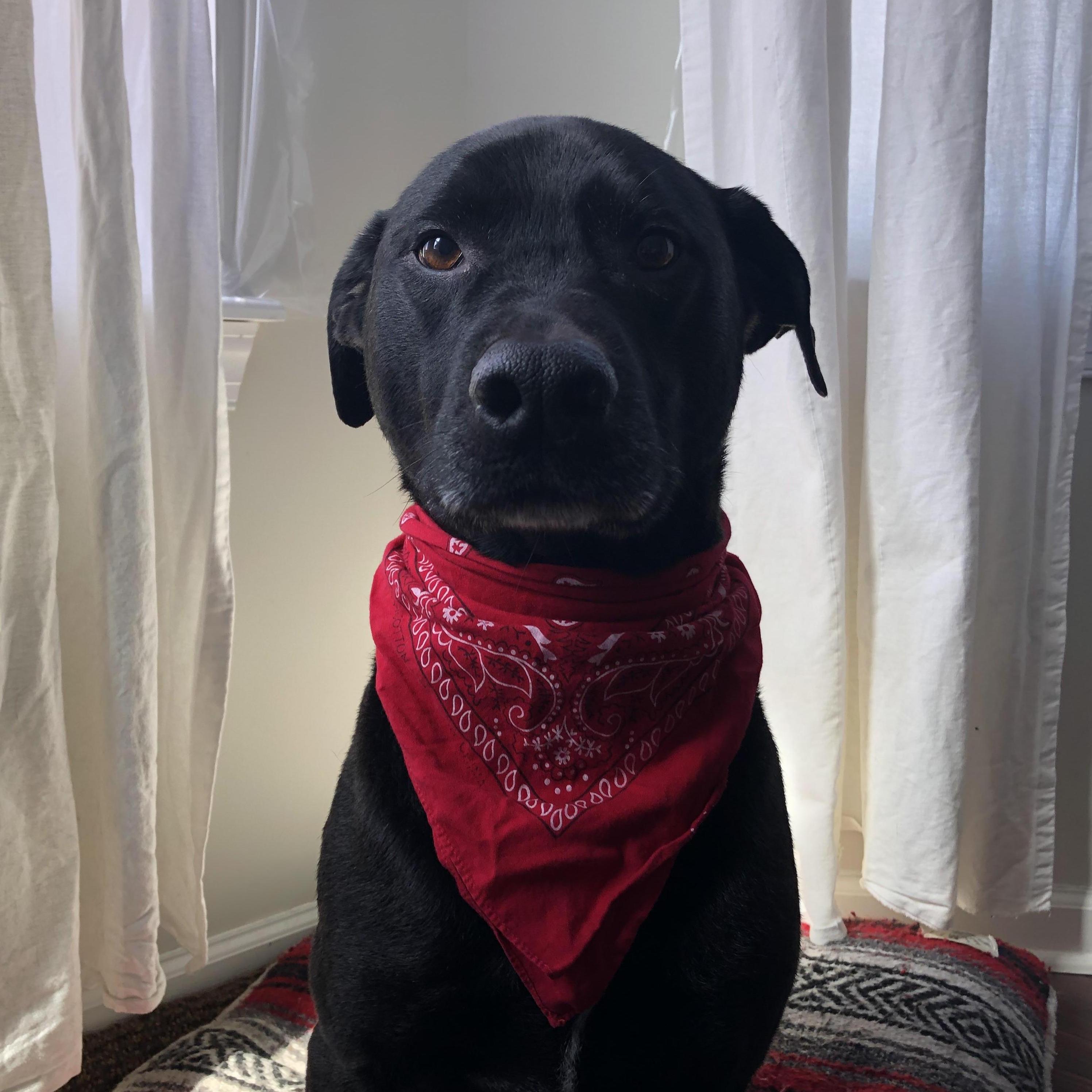 Everyone's best friend: Jackson.