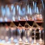 Wine Tasting at Tierra Adentro Winery / Degustacion de Vino en Tierra Adentro