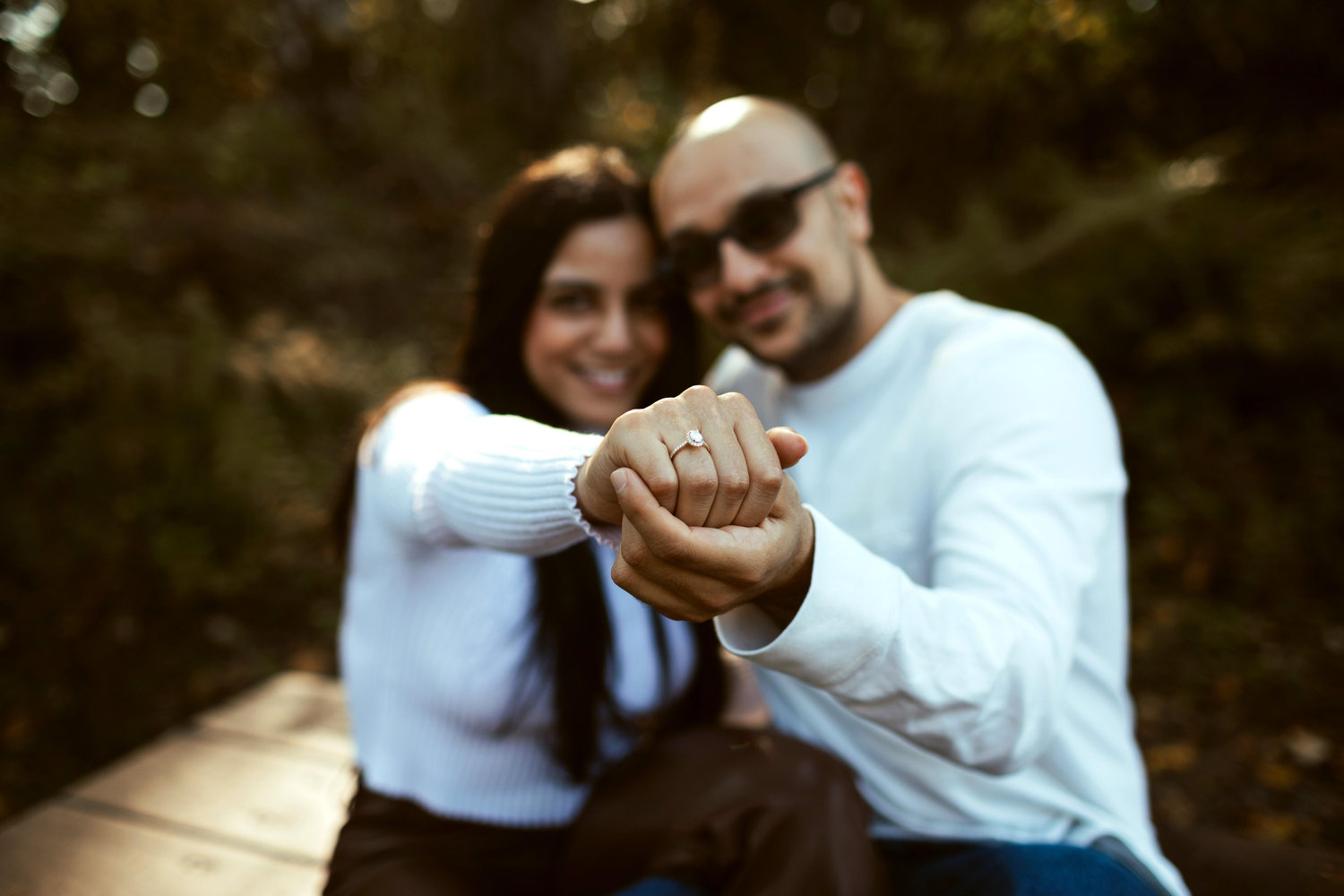 The Wedding Website of Arsany Azmy and Irini Bahnam