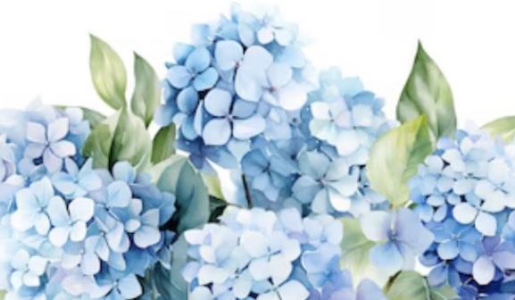 Footer image