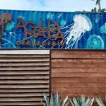 Microbrewery Aguamala
