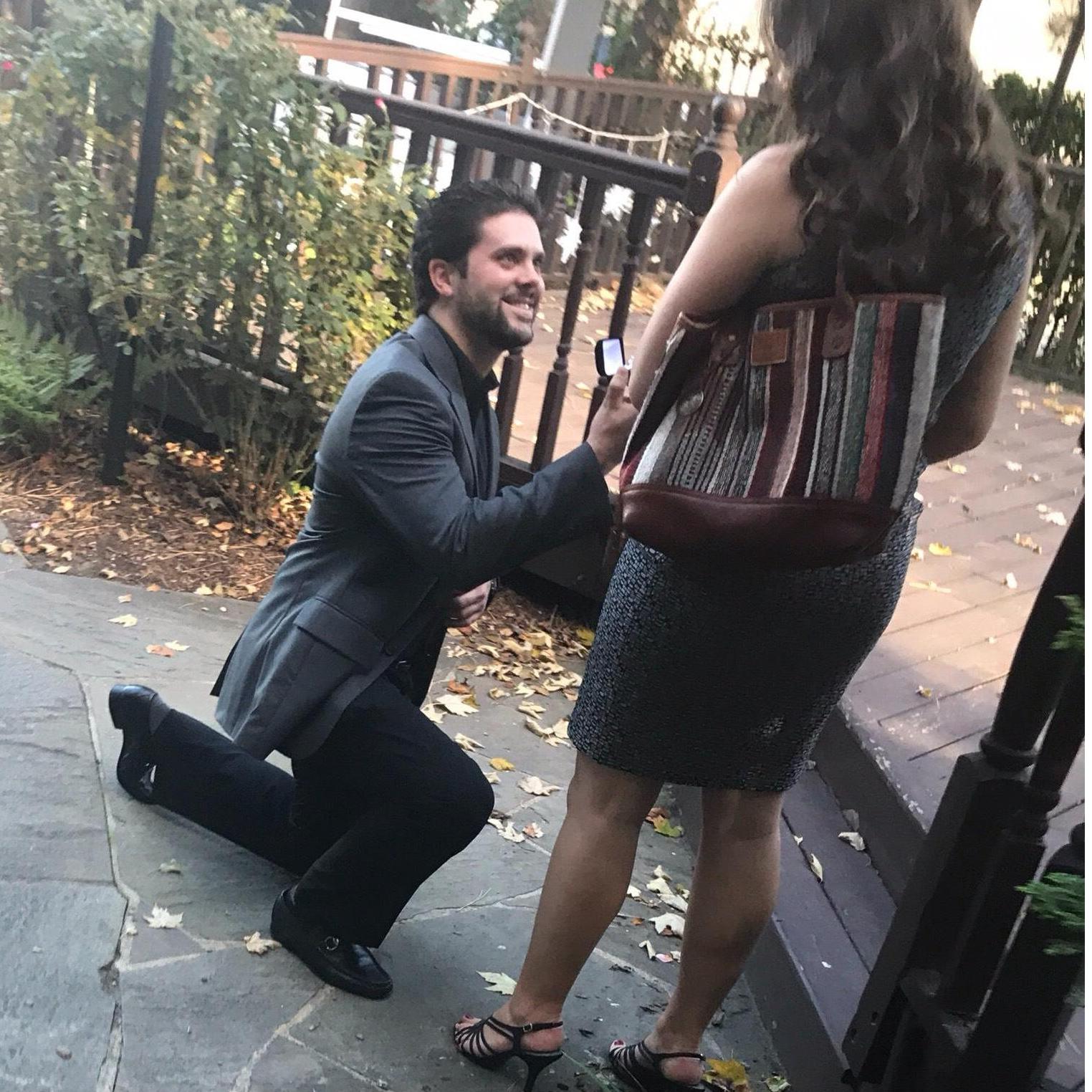The proposal at the Whitney