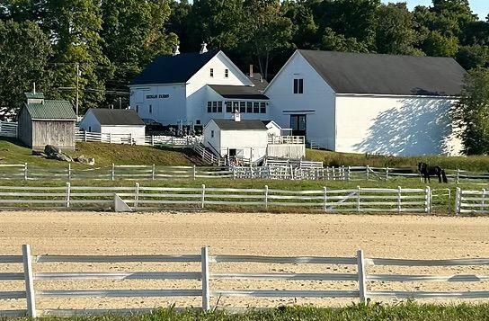 The Wedding Website of Yarin Santos and Cameron White