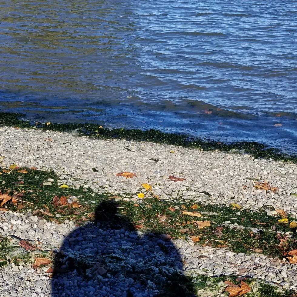Tolmie State park