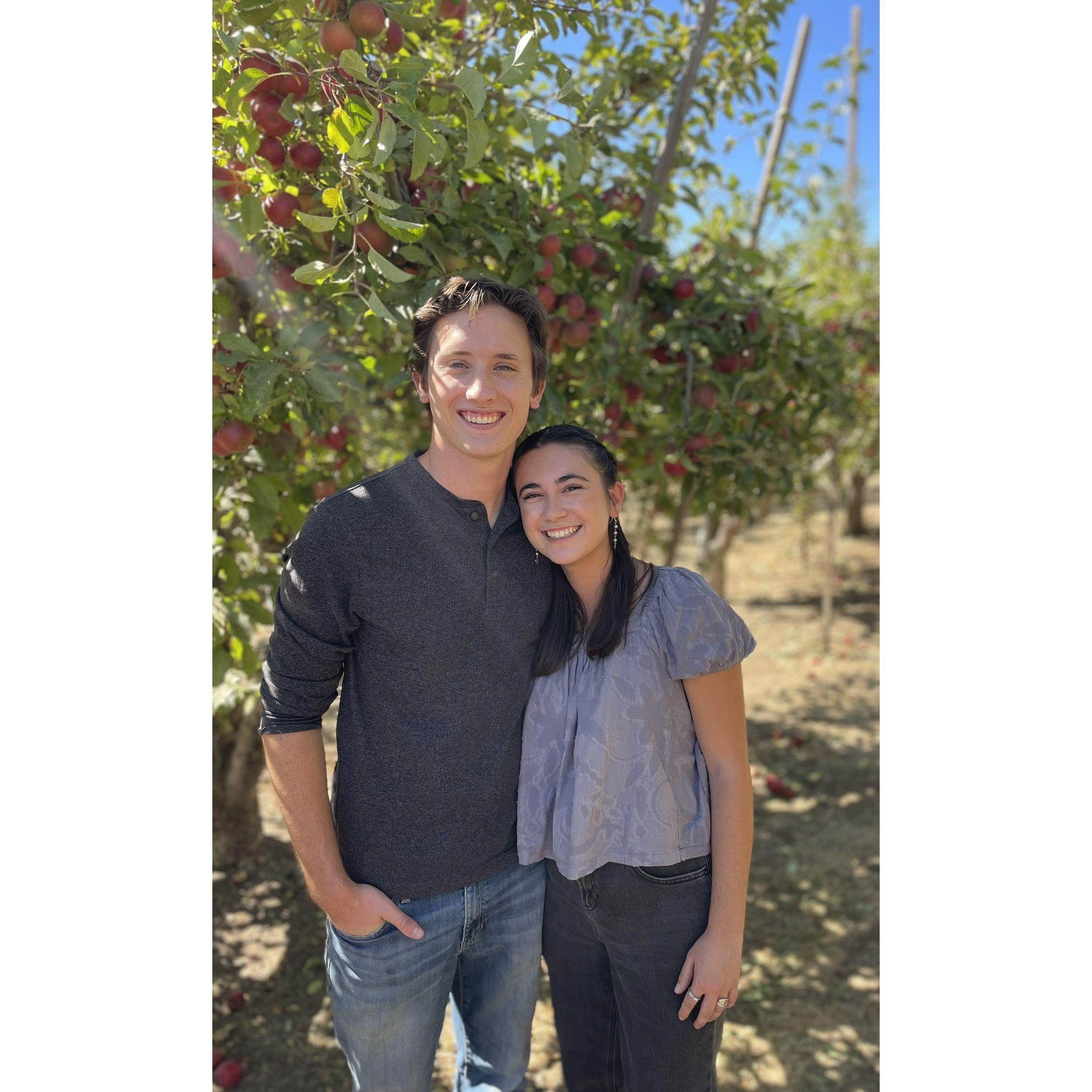 Apple picking in Oak Glen makes for the perfect fall festivity.