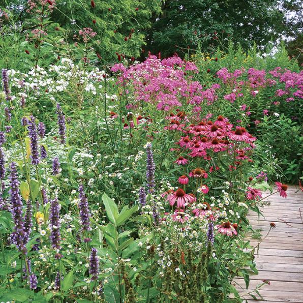 Catskills Native Plant Nursery