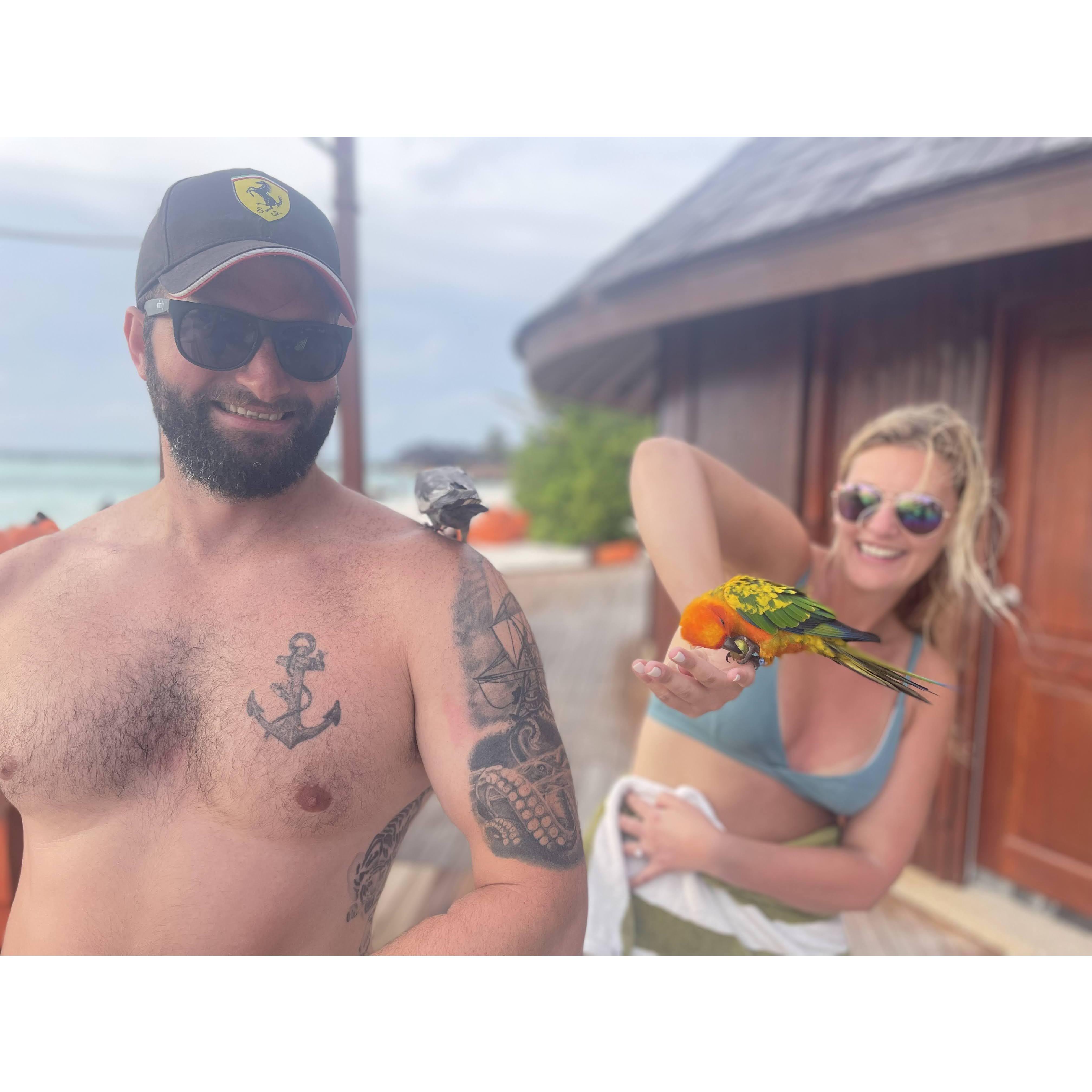 The Maldives - where it all happened
