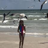Port Aransas Beach