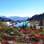 North Cascades National Park