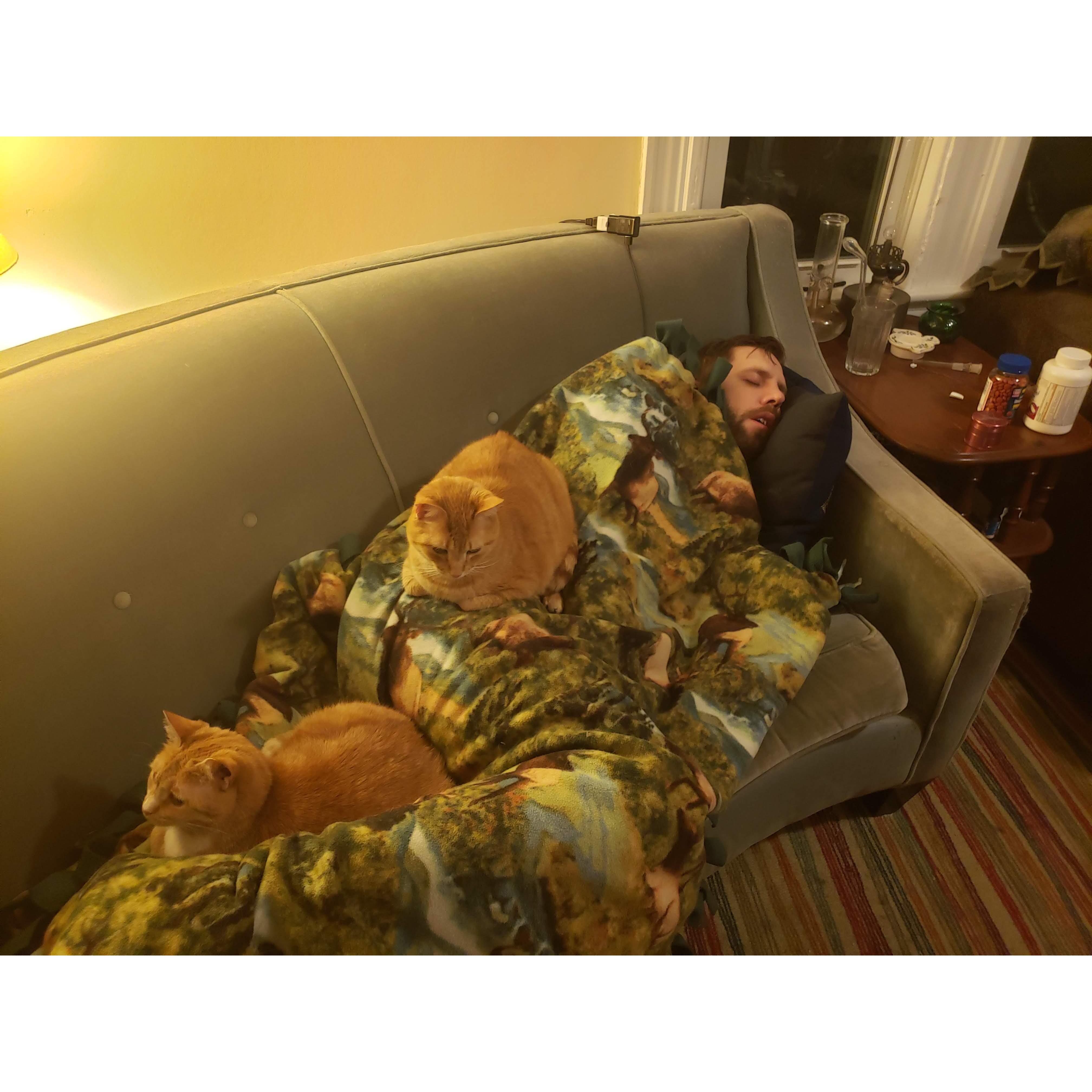 Settling into cat-dad life 3/30/2019