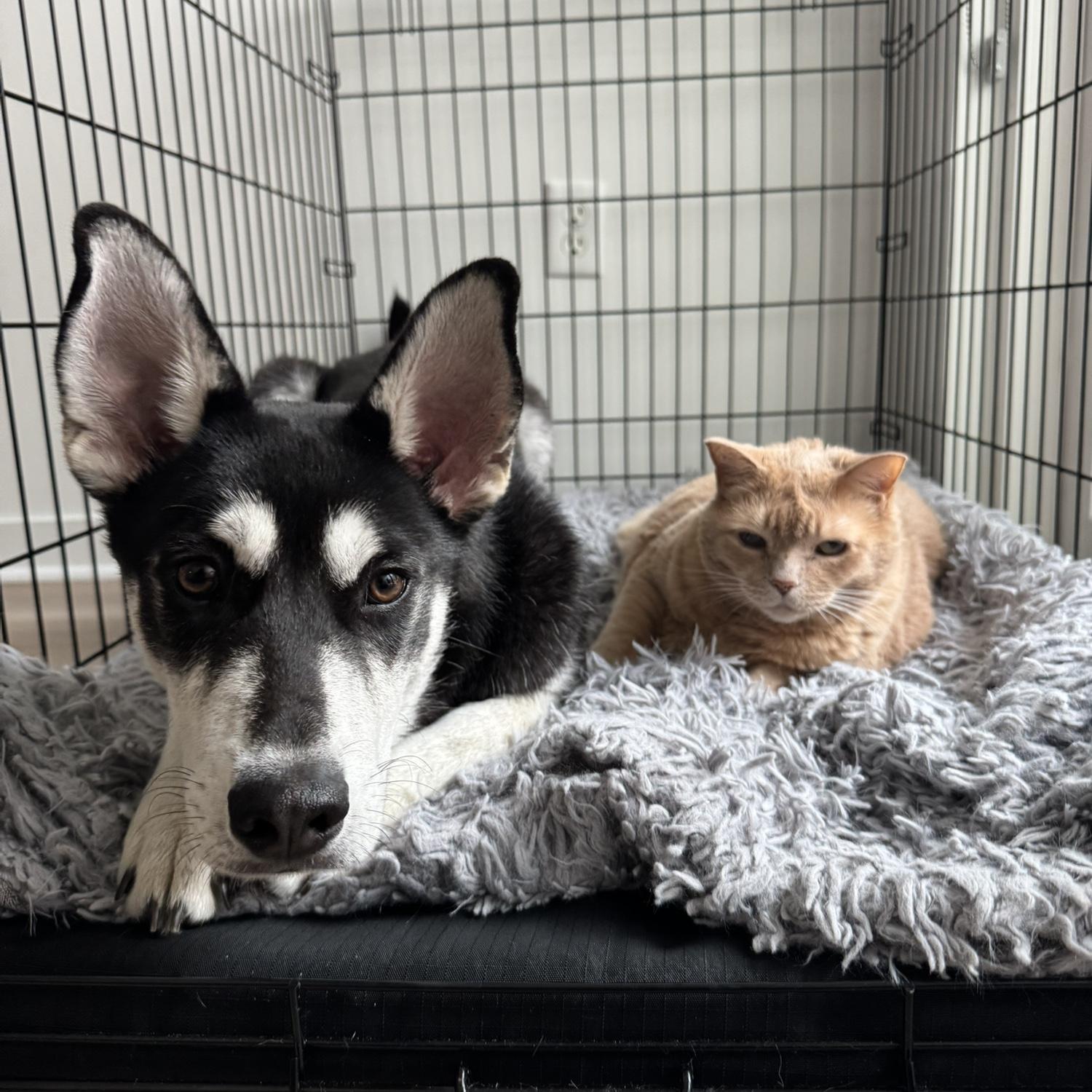 Ani & Remi!