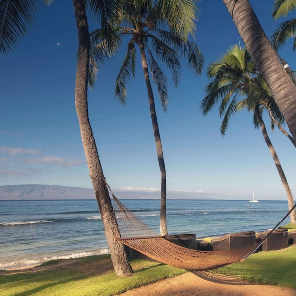 🌺Hawaii Honeymoon Fund