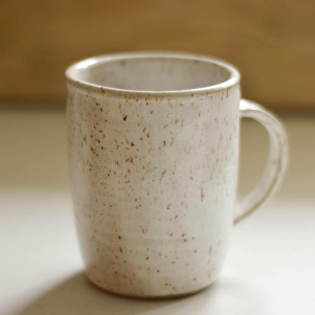 Travelers Mug