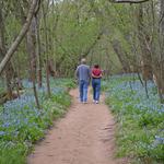 Battle of Bull Run Park