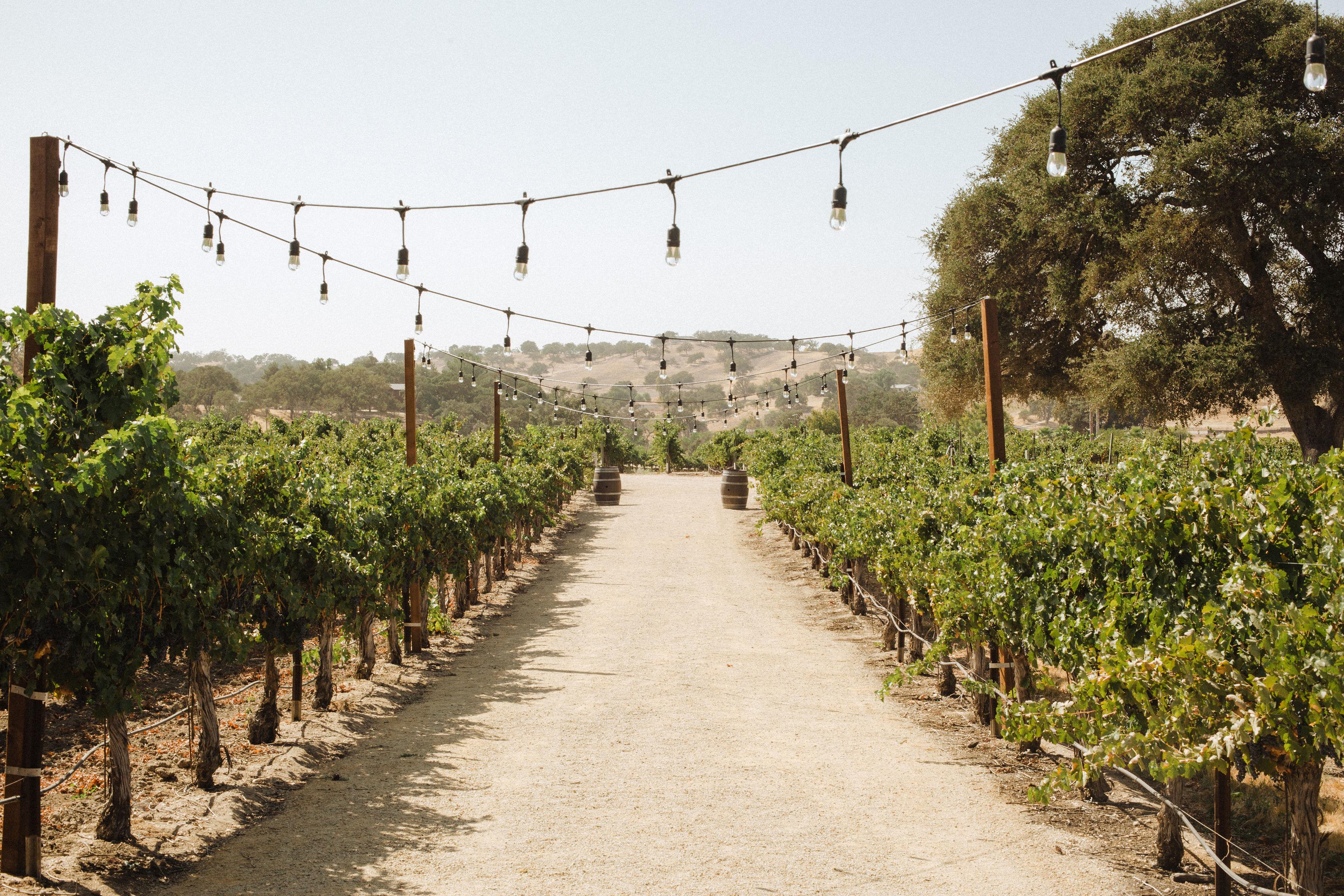 The Wedding Website of Alexandria Palomarez and James Jordan Zacny