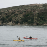 Bodega Bay Kayak