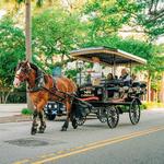 Old South Carriage Company