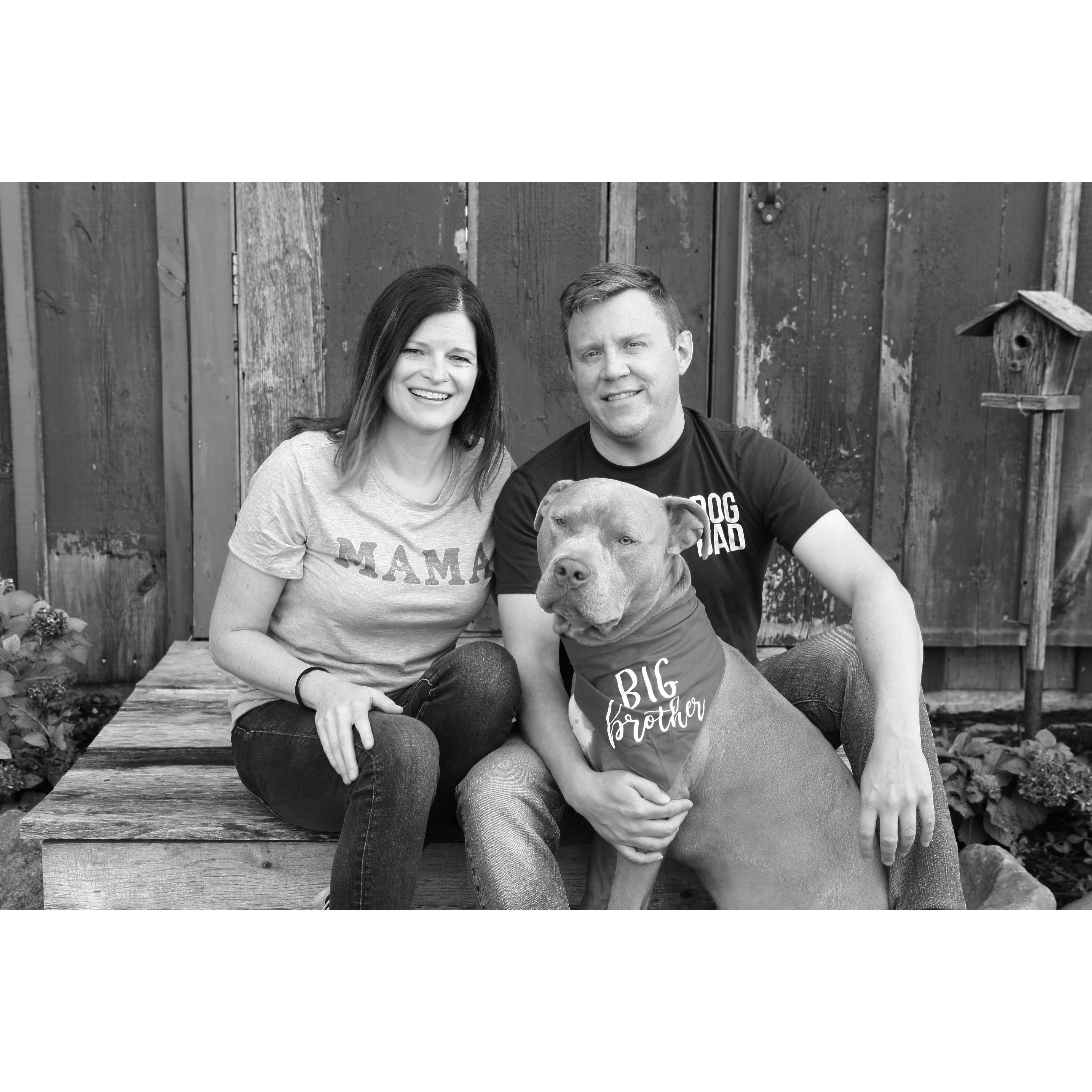 We are excited to meet Baby Hansen in January 2021!