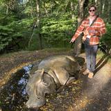 Woodland Park Zoo