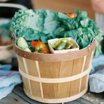 Wabasha Farmers Market