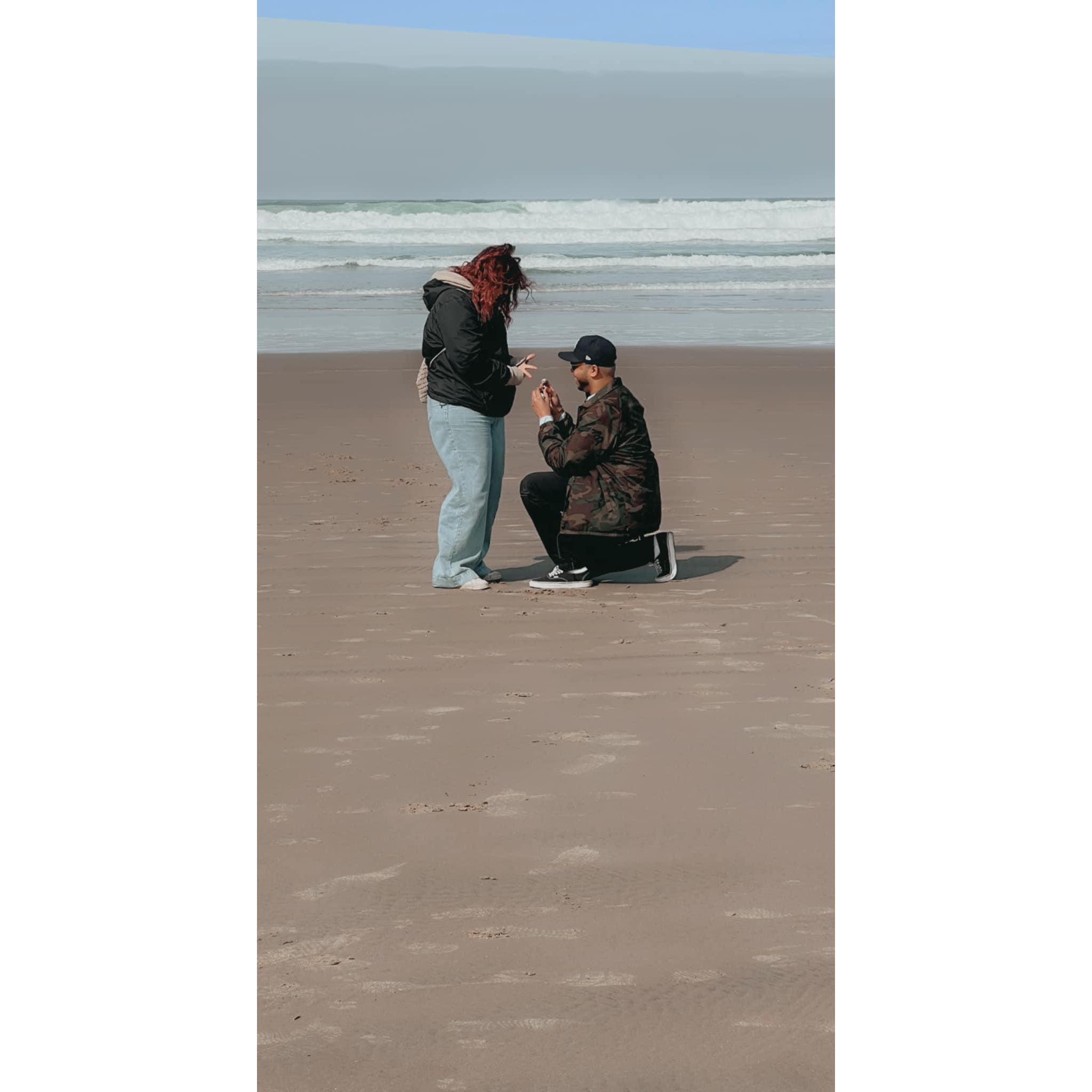 The Proposal