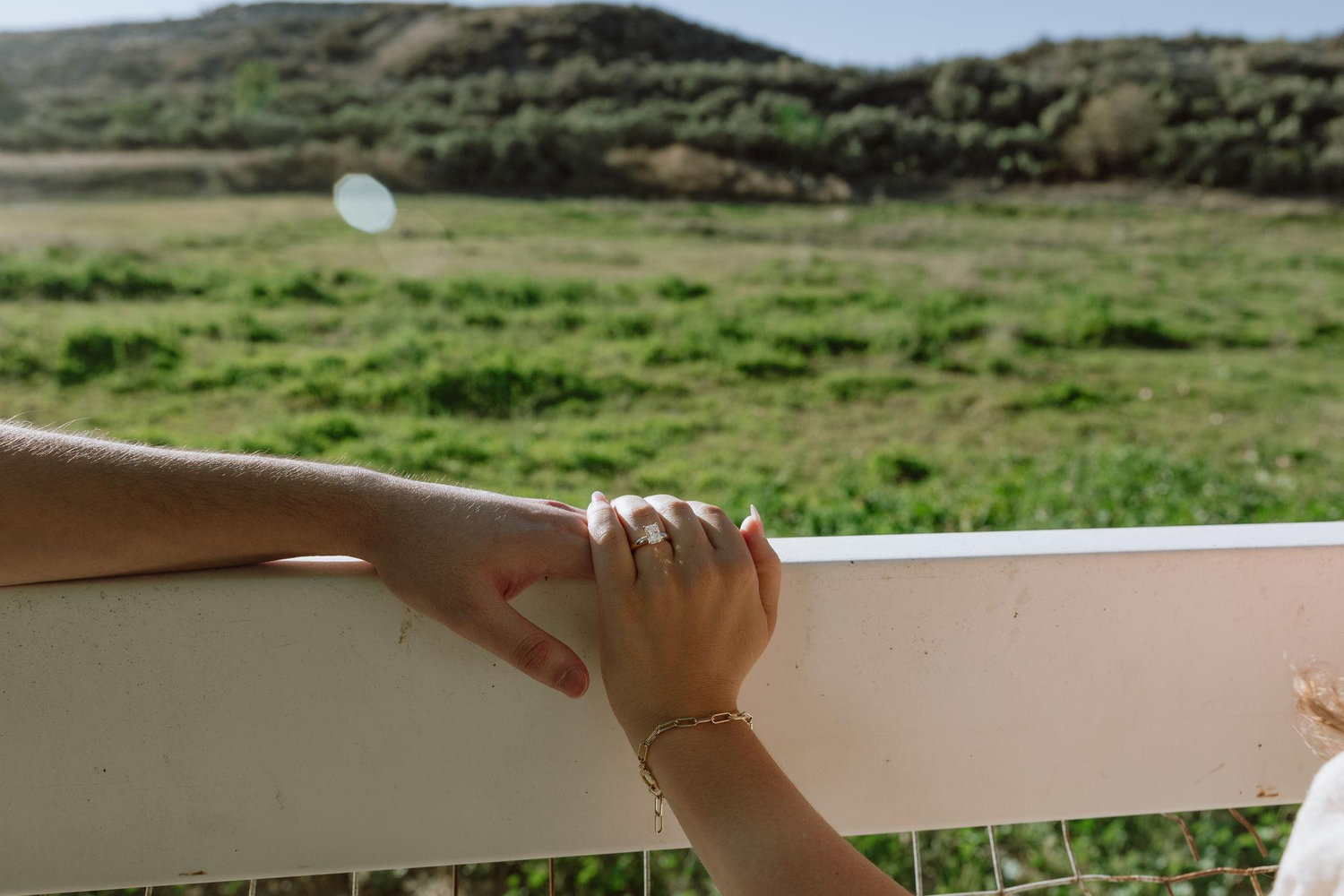 The Wedding Website of Isabella Wheat and Daniel Nouri