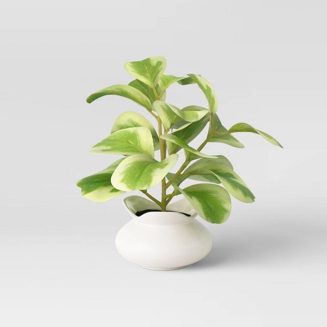 Artificial Small Peperomia Plant in Ceramic Pot - Opalhouse™