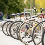 Bike Rentals