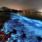 Bahía Bioluminiscente