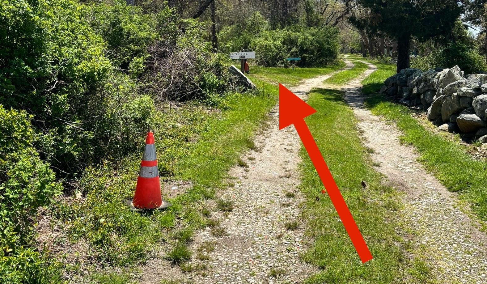 The Wedding Website of Jennifer Thorpe and Tim Mercier