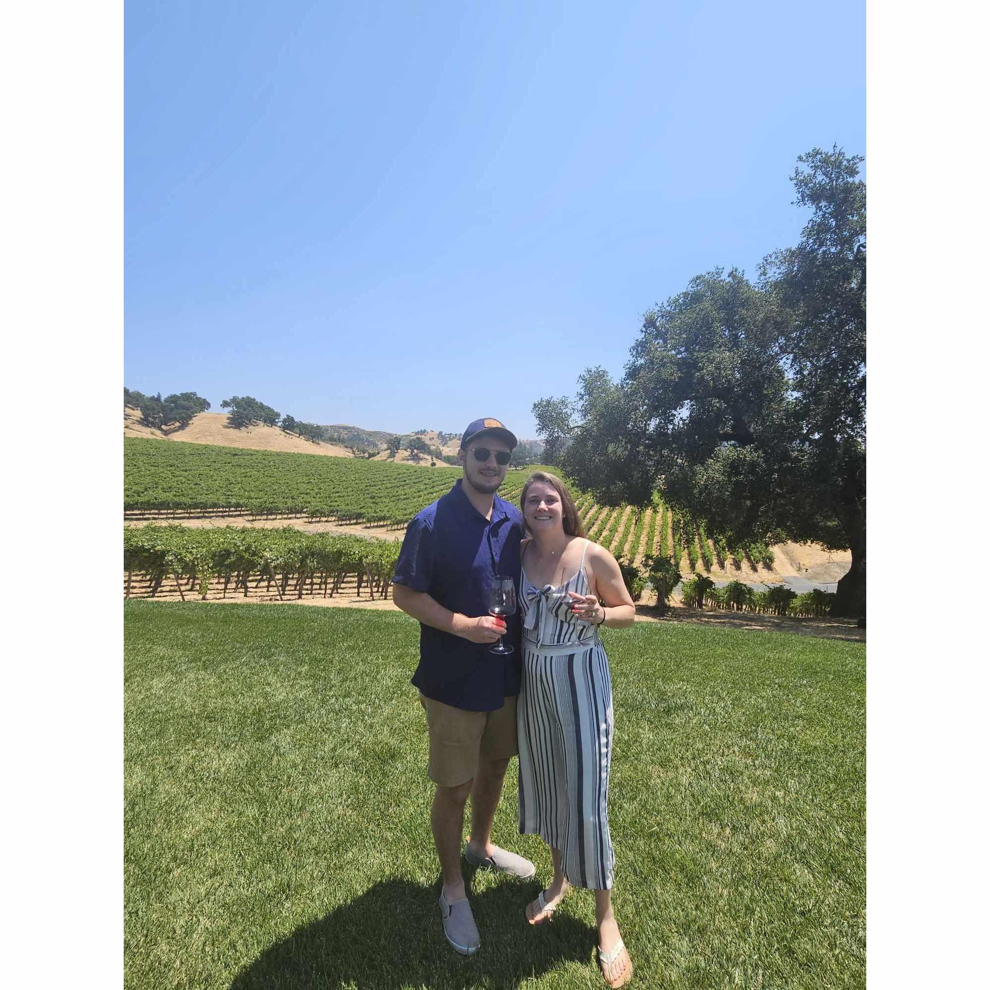 Alexander Valley Wine Tasting