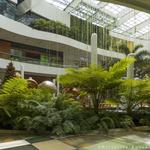 Centro Comercial el Tesoro