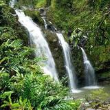 Waimea Valley