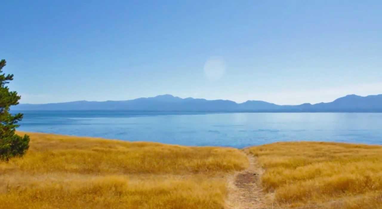 Footer image