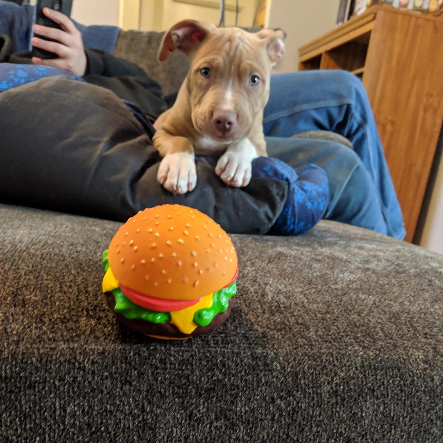 Just Burger with his burger :) lol