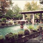 Joe T. Garcia's